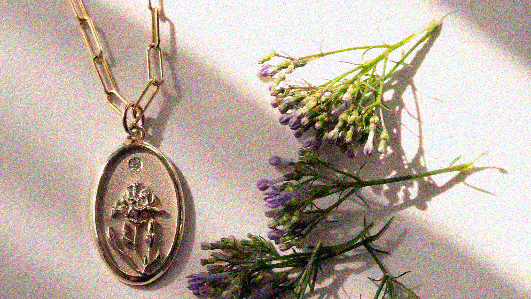 All About Iris, February's Birth Flower