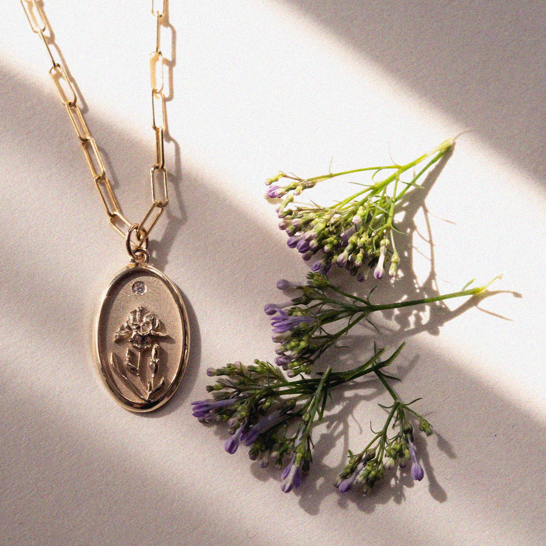 All About Iris, February's Birth Flower