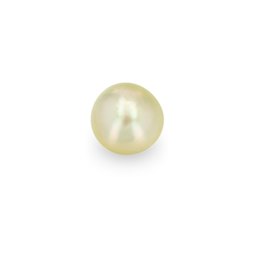 BESPOKE CHAMPAGNE TAHITIAN PEARL