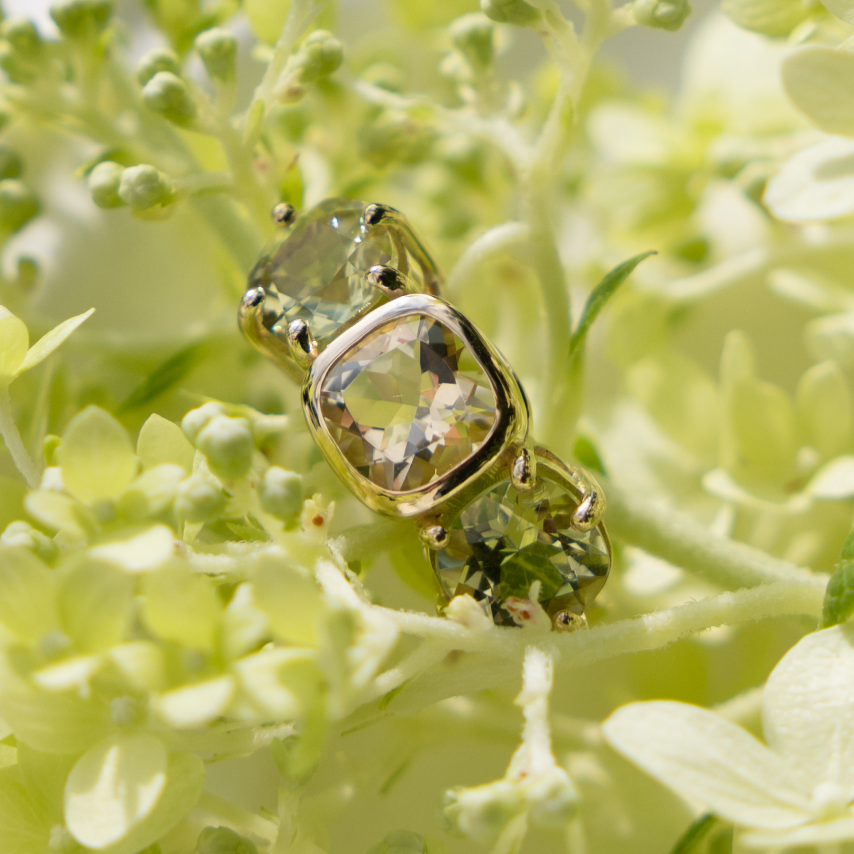 Starling x Mills Ring