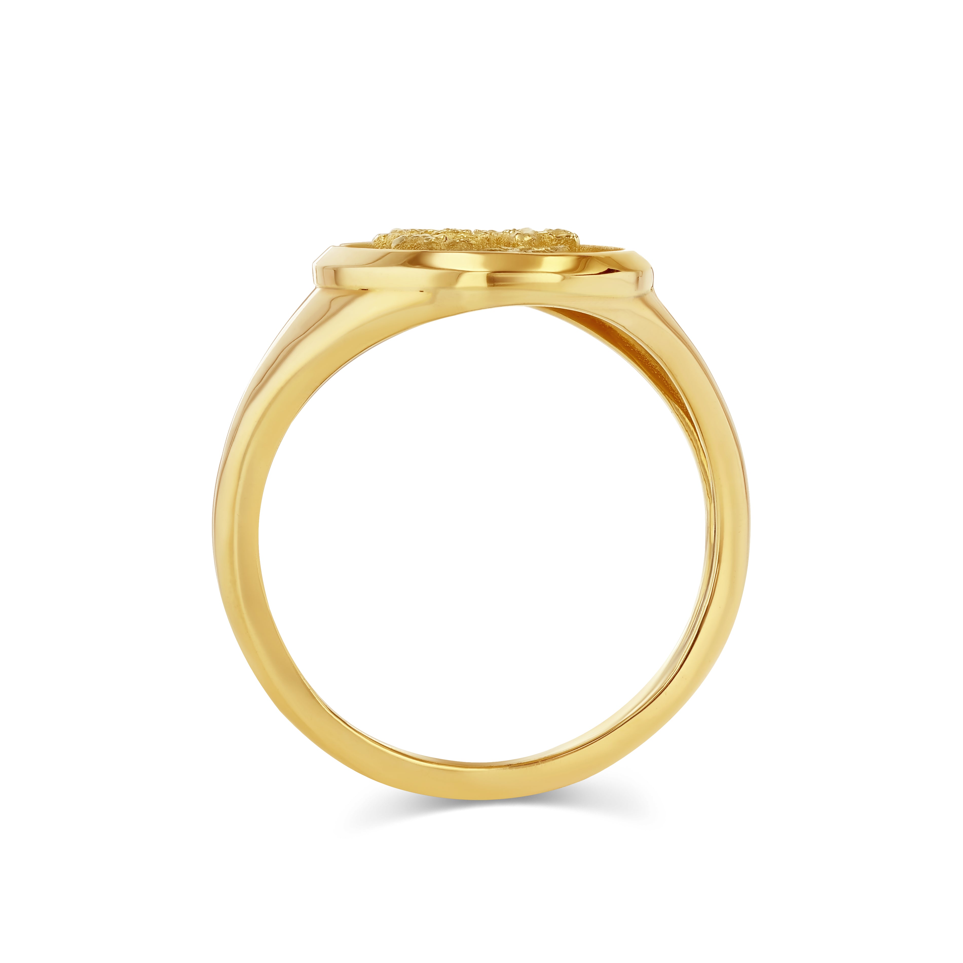 JANUARY BIRTH FLOWER SIGNET RING