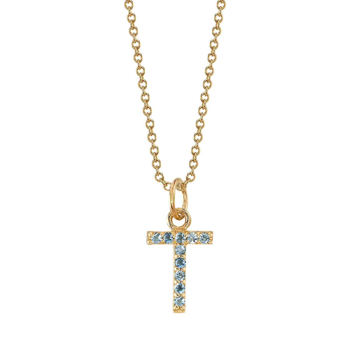 T Initial Birthstone Charm Necklace